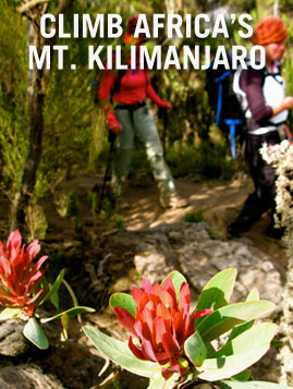 Climb Kilimanjaro 1