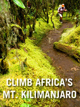 Climb Kilimanjaro 2