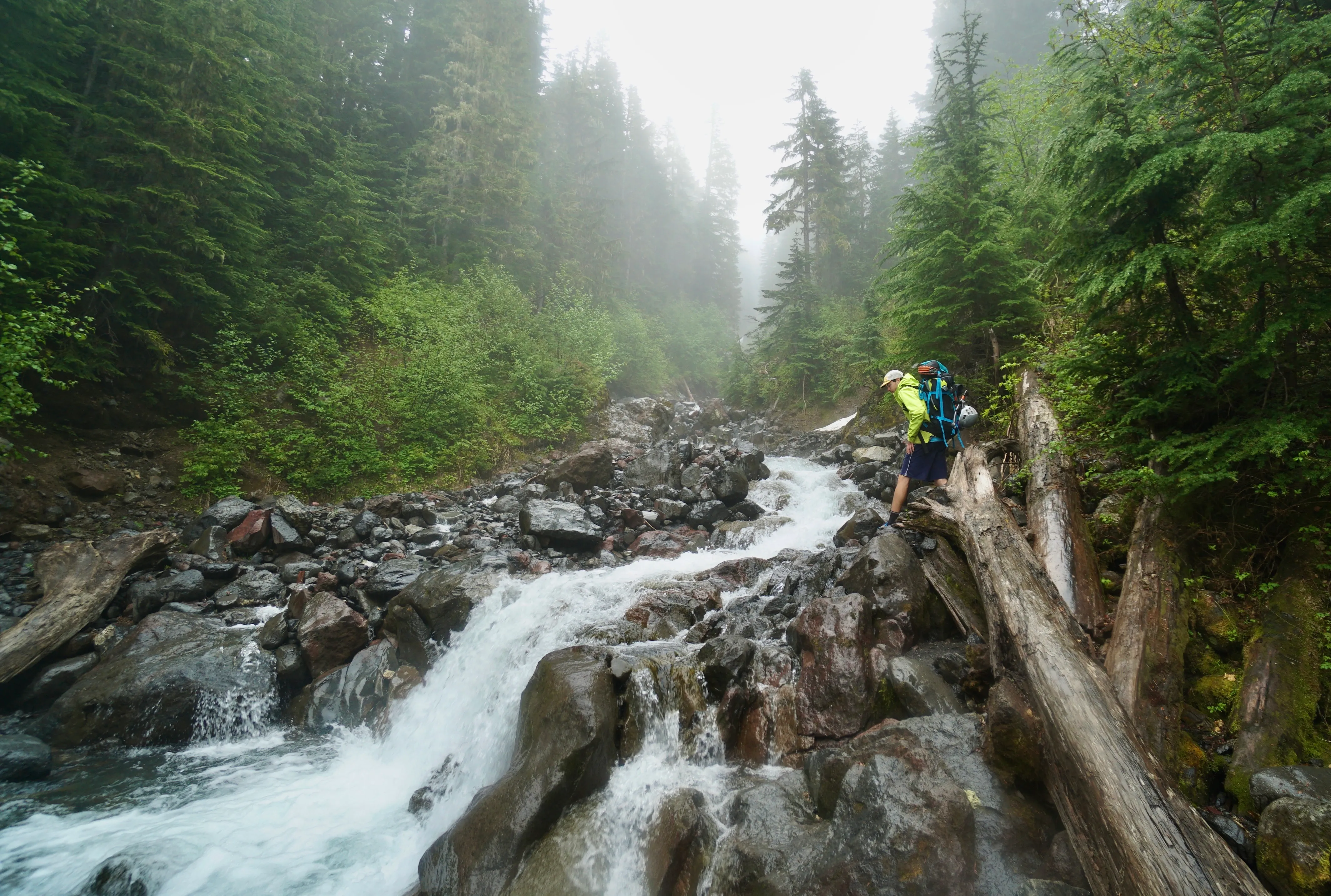 Hiker with large backpack crossing rocky stream on logs in a foggy forest with tall evergreen trees.