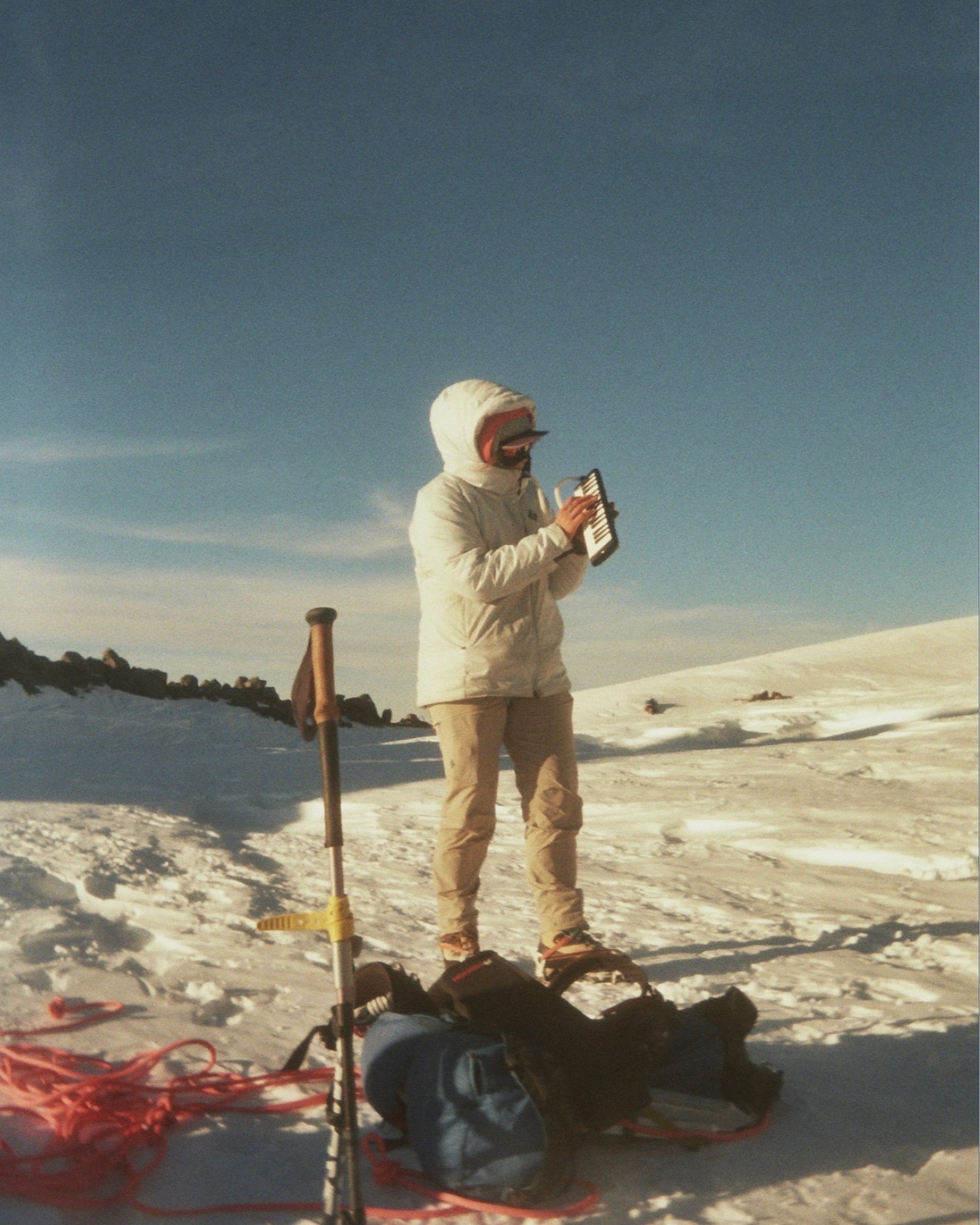 Celeste Wilson — action shot